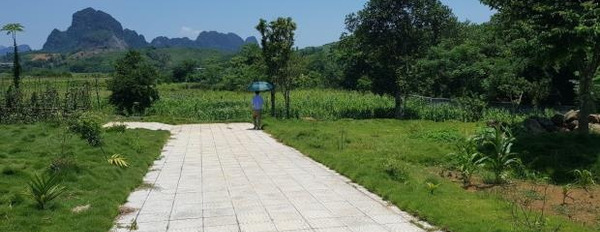 Đất đẹp Lương Sơn,Hòa Bình 3000m2,giá 4,5 tỷ cực kì sang trọng-03