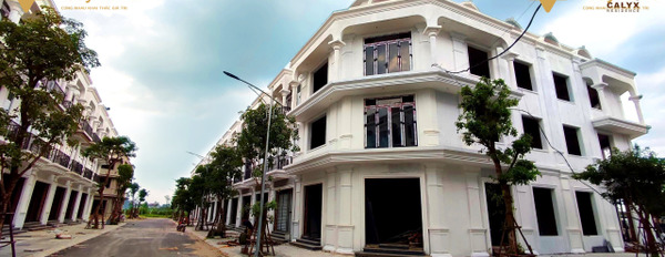 Chính chủ cần bán gấp căn đẹp Calyx Residence thu hồi giá gốc - Dự án 319 Bộ Quốc Phòng Đông An-03