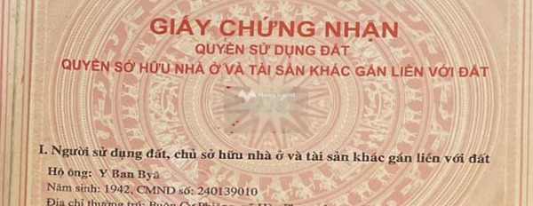 Bán đất 500 triệu Krông Bông, Đắk Lắk Có tổng diện tích 10088m2-03