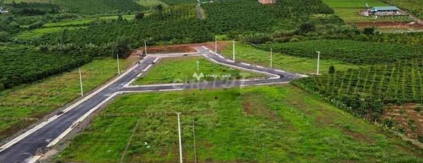 300 triệu bán đất có diện tích tiêu chuẩn 1000m2 vị trí ngay ở Lý Thái Tổ, Lộc Tân-03