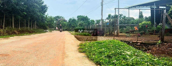 Phước Vĩnh, Phú Giáo bán đất giá cơ bản chỉ 245 triệu diện tích trong khoảng 220m2-02