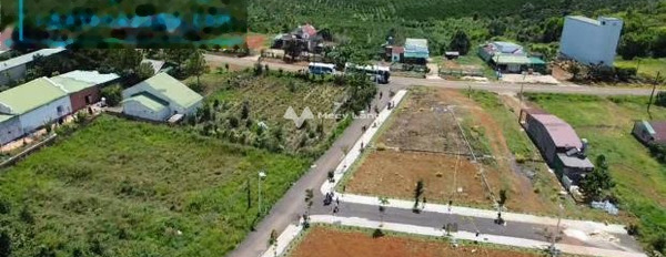Bảo Lộc, Lâm Đồng bán đất giá mong muốn chỉ 9.5 triệu diện tích khoảng là 200m2-03
