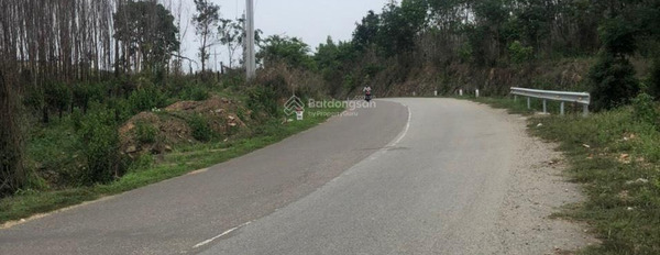 Chính chủ bán 2.1 hecta đất mặt tiền đường QL 55 khu vực Hàm Thuận Nam, tỉnh Bình Thuận -02