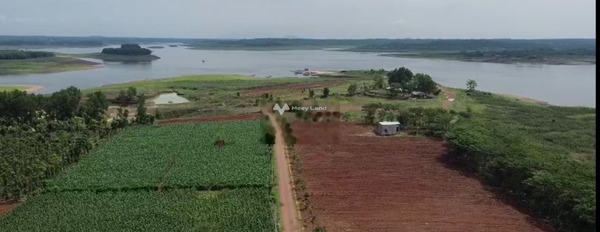 Từ 23.5 tỷ bán đất diện tích tầm trung 10829m2 vị trí nằm trên Ven Hồ, Sơn Bình-03