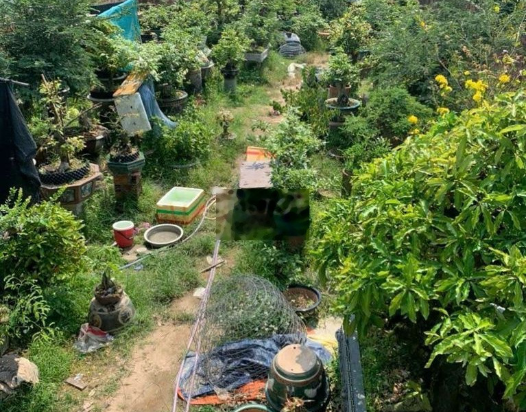 Bán 2 lô đất liền kề thôn Thanh Huy 2, xã Phước An, Tuy Phước -01
