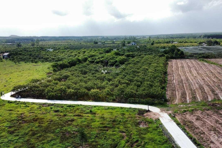 Chính chủ tôi bán mảnh đất, 5275m2 giá bán tốt bất ngờ 5.6 tỷ vị trí thuận lợi nằm ở Vũng Tàu, Bông Trang pháp lý nhanh-01