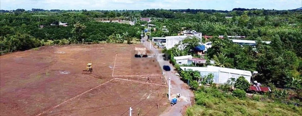 Nằm tại Lộc Ninh, Bình Phước bán đất 450 triệu diện tích rộng 300m2-03