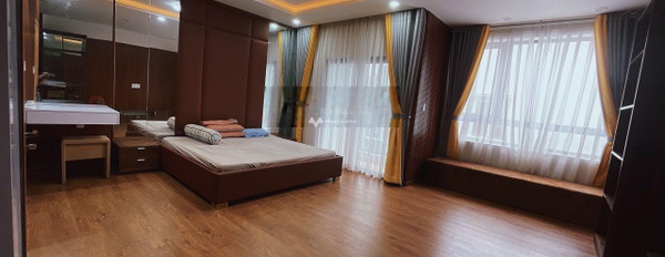 Nhà có 4 phòng ngủ bán nhà bán ngay với giá chính chủ 12.9 tỷ diện tích gồm 63m2 tọa lạc ngay trên Tân Bình, Hồ Chí Minh-03