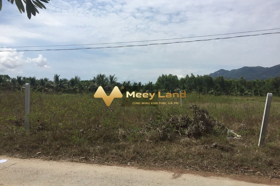 Bán đất tại Cam Phúc Nam, Khánh Hòa diện tích cụ thể 417m2-01