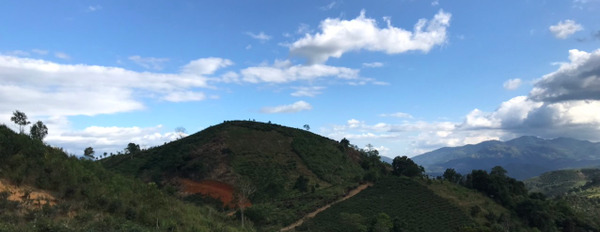 Bán nhanh 3 lô đất Lộc Thành trên 1.000m2, sổ đỏ, view núi Đại Bình-02