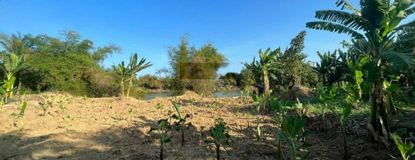 Bán lô đất vườn thổ cư view sông Cái, thôn Trung, Vĩnh Phương, Nha Trang giá 13tr/m2 -03