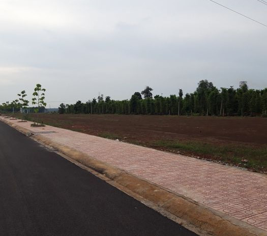 Bán đất ngay đường Trần Phú gần khu du lịch đảo Yến Sơn Hà, buôn bán sầm uất, giá chỉ 9 triệu/m2