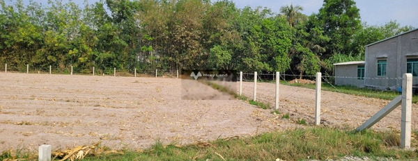 Cây Xoài, Tây Ninh bán đất giá cực sốc chỉ 420 triệu có diện tích tổng là 250m2-02