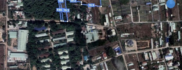 Vị trí nằm ngay ở Bình Minh, Đồng Nai bán đất, giá bán siêu mềm chỉ 25.5 tỷ diện tích trong khoảng 11822m2-03