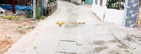 Tại Đường Lương Quy, Huyện Đông Anh bán đất 2.96 tỷ dt chuẩn 114m2-02