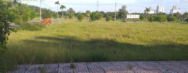 Bán gấp nền đất gần khu công nghiệp Tân Hương, Tiền Giang-02