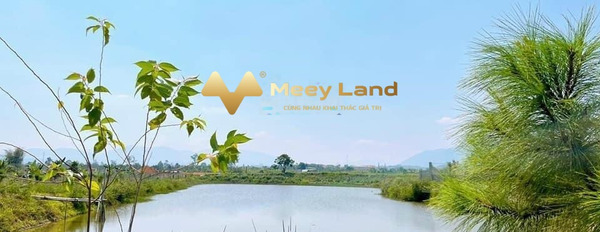 Từ 25 tỷ bán đất có dt rộng 14000 m2 vị trí đặt nằm tại Bảo Lộc, Lâm Đồng-03