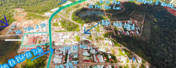 Giá bán cơ bản từ 3.3 tỷ bán đất diện tích rộng rãi 196m2 vị trí mặt tiền tọa lạc ngay tại Đắk Long, Kon Tum-02