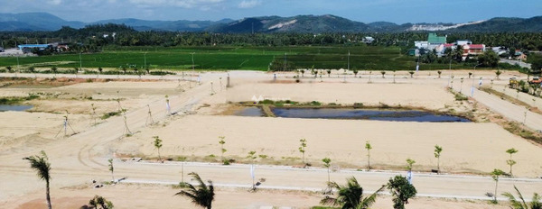 Vị trí mặt tiền ngay Tam Quan Bắc, Hoài Nhơn bán đất diện tích chung là 100m2-02