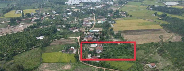 Vị trí hấp dẫn Cư Elang, Đắk Lắk bán đất, giá hữu nghị từ 799 triệu diện tích như sau 4000m2-03