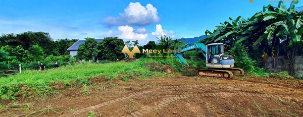 Bán nhà vị trí mặt tiền ở Xã Vân Hòa, Huyện Ba Vì diện tích gồm 500 m2, hướng Đông Nam-03
