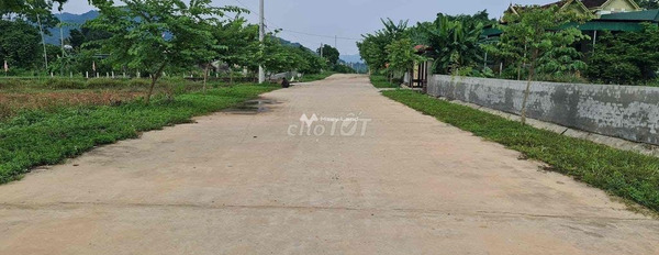 Tân Thắng, Quỳnh Lưu 400 triệu bán đất có diện tích rộng 208m2-03