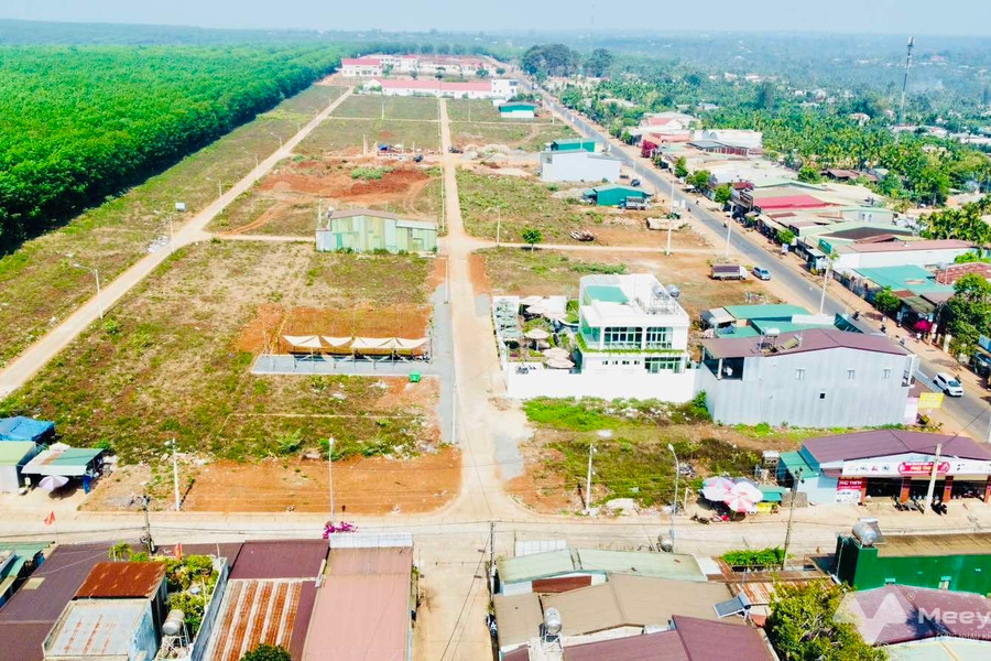 Cần bán 2 lô đất ngay chợ Phú Lộc, Krông Năng, đất thổ cư 100%, giá đầu tư-01