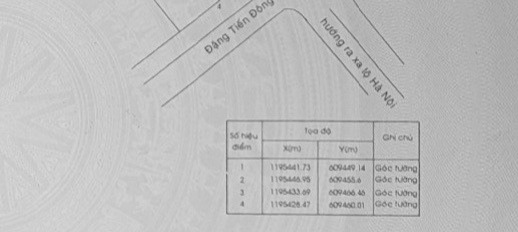 Bán đất mặt tiền đường Đặng Tiến Đông, An Phú, Quận 2, Hồ Chí Minh, giá 25,5 tỷ-03