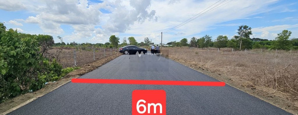 (Phát Mại) lô đất 8x60 đường xe tải - cách vòng xoay Võ Thị Sáu 4km -02