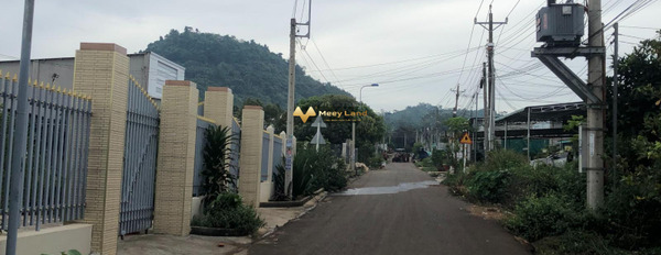 Bán đất tại Long Khánh, Tỉnh Đồng Nai-02
