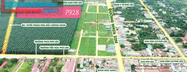 Vị trí thuận lợi tọa lạc gần Krông Năng, Đắk Lắk bán đất giá bán thị trường chỉ 268 triệu có diện tích gồm 132m2-02