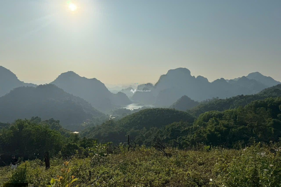 Bán đất tại Cao Phong, Hòa Bình. Diện tích 19000m2-01