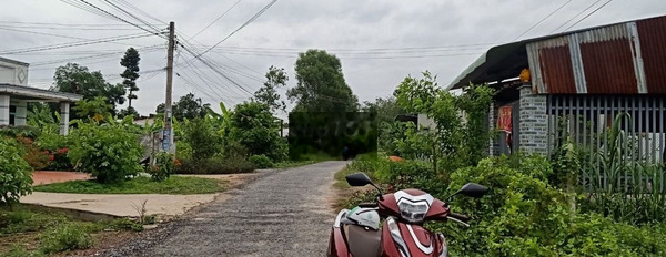 Đất mặt tiền đường nhựa ấp Cây Nính, xã Phước Trạch, Gò Dầu, Tây Ninh -03