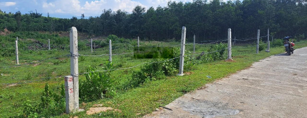 Chính chủ cần bán sỉ lô đất full thổ cư tách được 3 lô tại Khánh Bình, Khánh Vĩnh -02