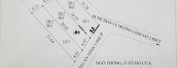 Bán đất diện tích 90m2 tại Tiên Dược, Sóc Sơn-03