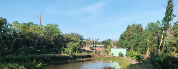 Cần bán nhà vườn nghỉ dưỡng tại Phước Tân, Bà Rịa-02