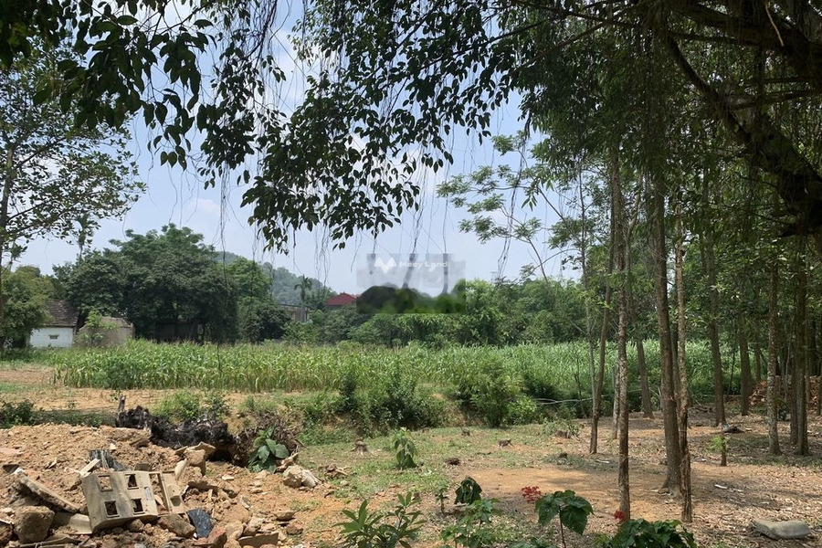 Bán gấp mảnh đất 1400m2 tại Sơn Tây, Hà Nội-01