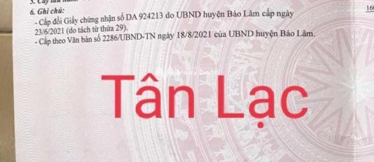 Giá siêu khủng chỉ 1.2 tỷ bán đất với diện tích tiêu chuẩn 121m2 vị trí mặt tiền tại Tân Lạc, Bảo Lâm-02