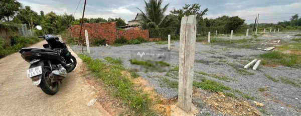 Bán đất giá 450 triệu tại Định Quán, Đồng Nai-03