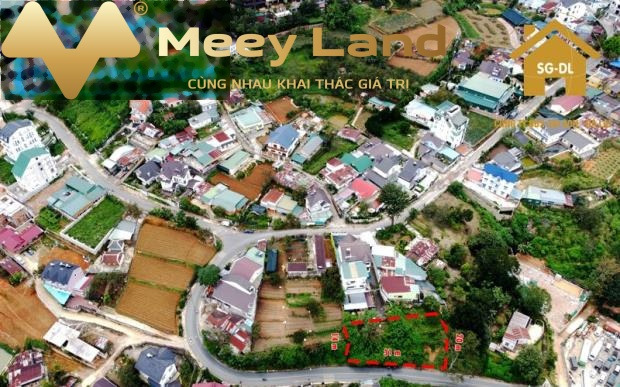 Bán đất 11,5 tỷ, Đường Đống Đa, Tỉnh Lâm Đồng, 395 m2-01