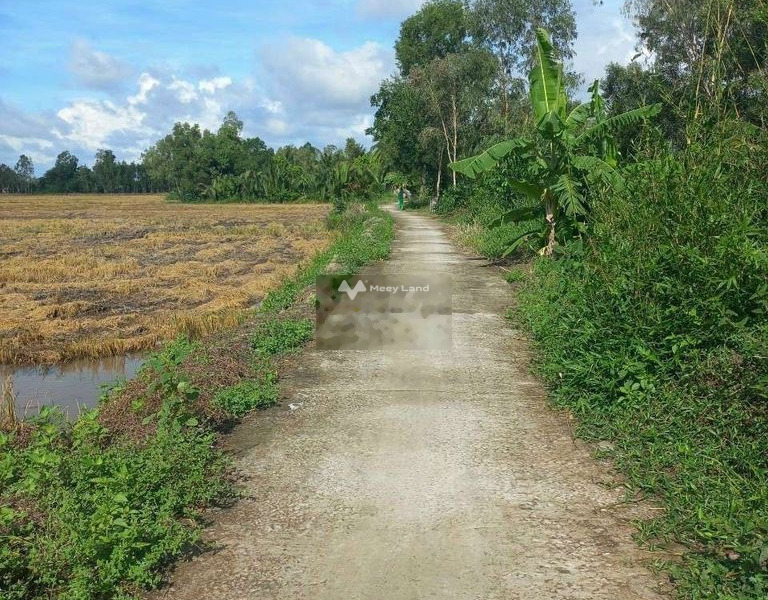 Long Mỹ, Hậu Giang bán đất giá bán hợp lý 120 triệu có diện tích rộng 22000m2-01