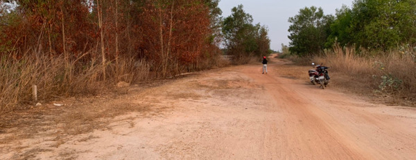 Bán 8470m2 đất view hồ Núi Đất, Tân Hà, Hàm Tân, 2 mặt tiền siêu rẻ-02