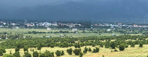 Ở Quốc Lộ 1A, Bình Thuận bán đất 779 triệu diện tích dài 14.18m2-03