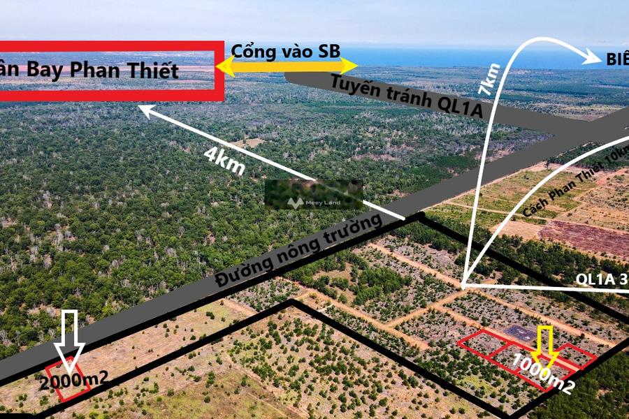 Hàm Đức, Bình Thuận 2.3 tỷ bán đất tổng diện tích 2000m2-01