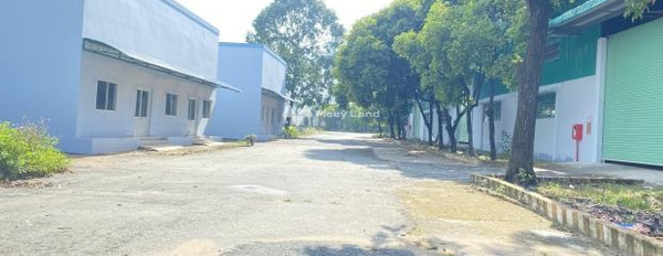 Cắt lỗ cho thuê kho bãi với diện tích là 6000m2 vị trí đặt ngay ở Quốc Lộ 1A, Hồ Chí Minh giá thuê cực kì tốt 400 triệu/tháng ở lâu dài-02