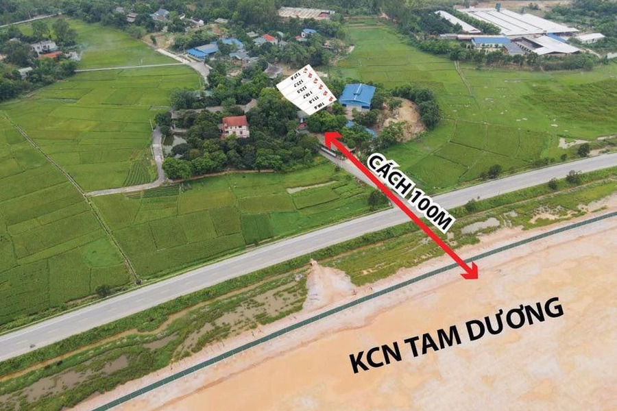 Bán nhà riêng Huyện Tam Dương Tỉnh Vĩnh Phúc giá 1,1 tỷ-01