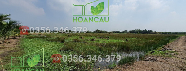 3500m2 đất Nhơn Trạch hàng ngộp cho quý nhà đầu tư nhanh tay-02