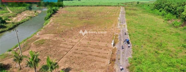 Bán mảnh đất, giá bán đề xuất 380 triệu diện tích như sau 1000m2-02