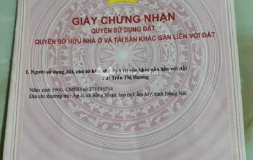 Bán mảnh đất, giá bán thỏa thuận chỉ 16.86 tỷ có diện tích tiêu chuẩn 11241m2-02