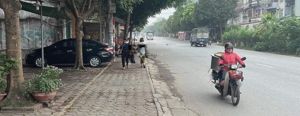 Bán nhà Phía trong Đặng Phúc Thông, Hà Nội. Diện tích 243m2, giá 19,5 tỷ-03